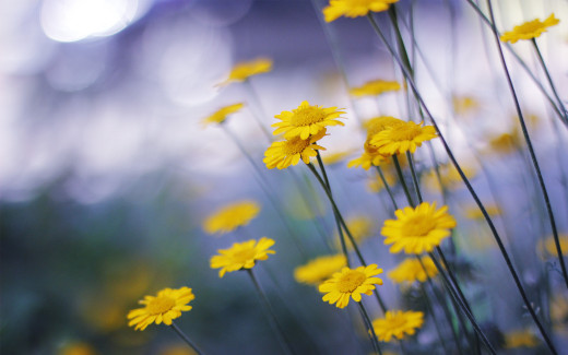 973869 (a): :2560x1600
